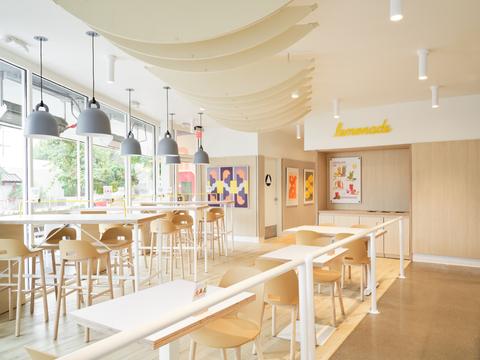 Chaises Alfi Emeco en situation studio design — polypropylène bois — Morrison | Antifer