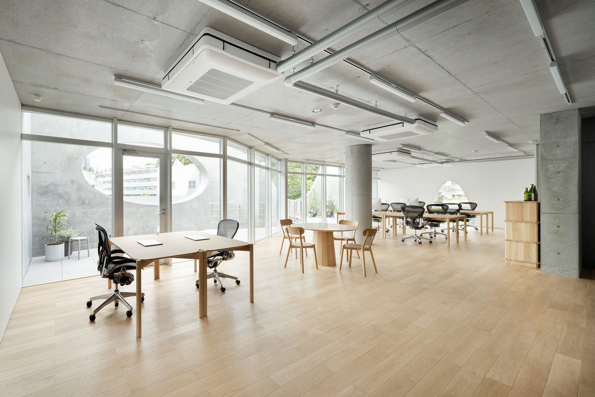 Chaises Castor autour des tables d'un bureau clair, sous un plafond en béton | Antifer