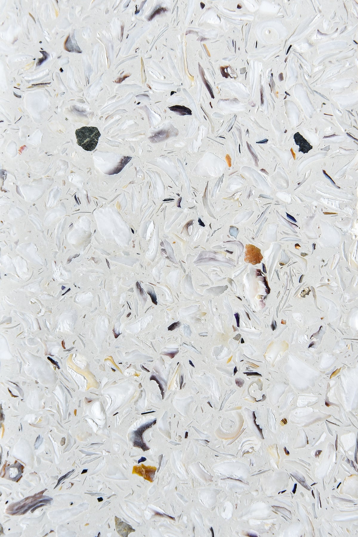 Plateau Ostrea Huîtres détail texture — terrazzo marin, coquilles recyclées | Antifer