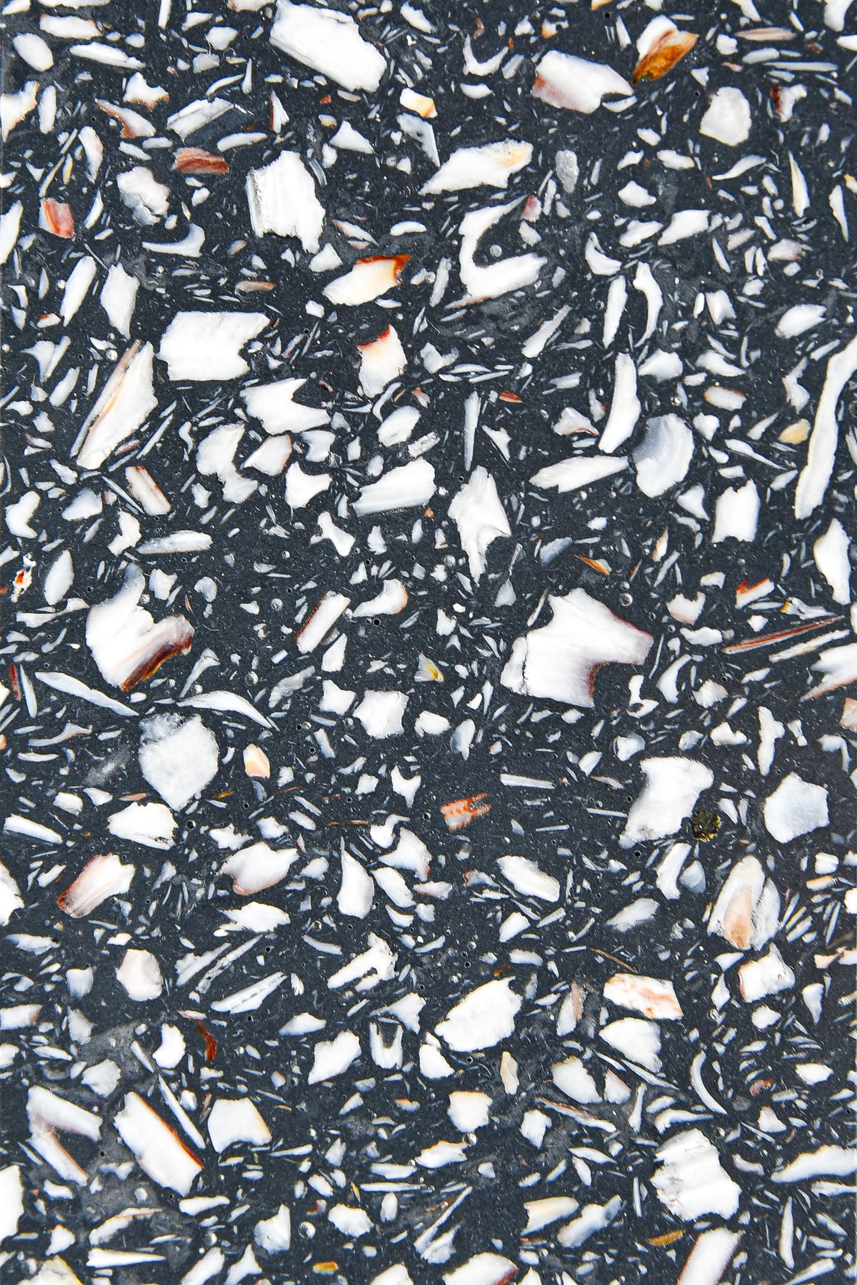 Plateau Ostrea anthracite détail texture — terrazzo marin, coquilles recyclées | Antifer