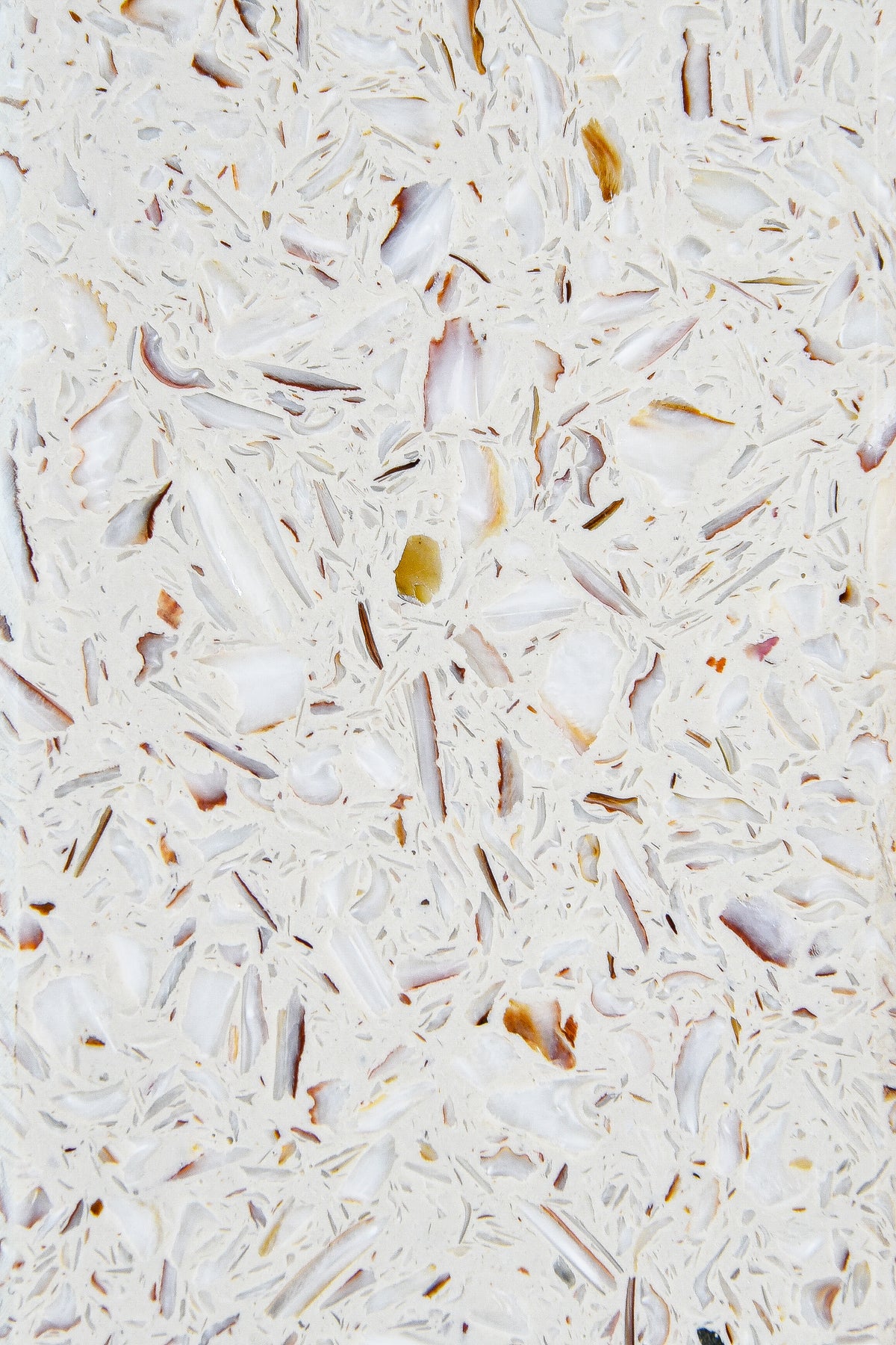 Plateau Ostrea Saint-Jacques détail texture — terrazzo marin, coquilles recyclées | Antifer