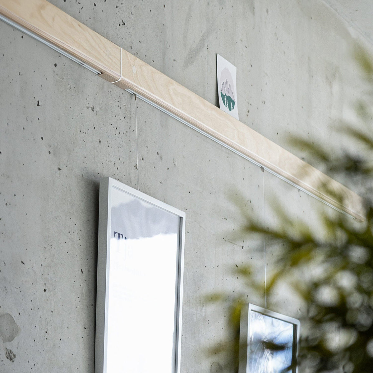 Rail mural Variand V03 cimaise en situation — bouleau avec tableau suspendu — design Variand | Antifer