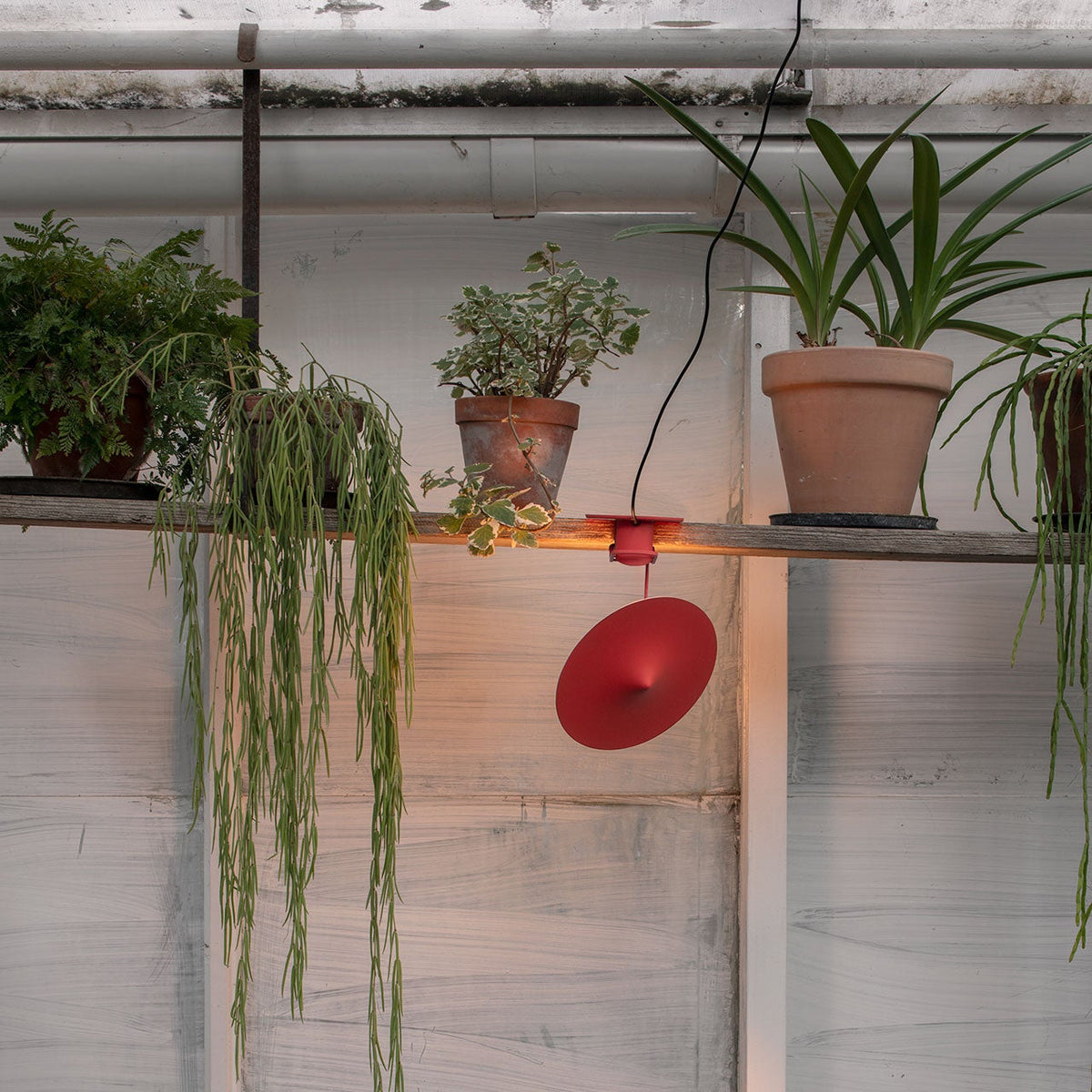 Lampe à pince w153 Île rouge en situation — aluminium — Inga Sempé Wästberg | Antifer